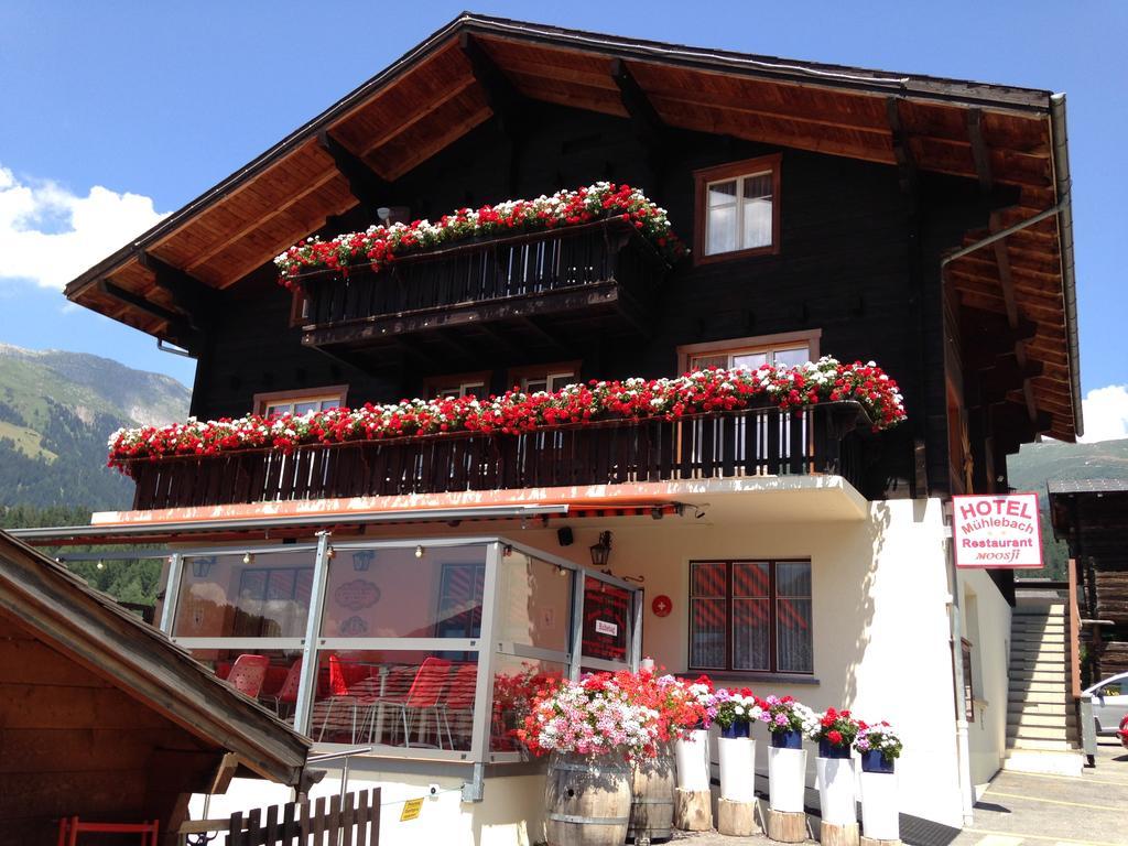 Hotel Haus Muehlebach Ernen Dış mekan fotoğraf