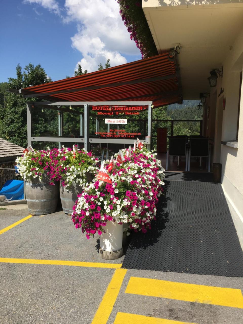 Hotel Haus Muehlebach Ernen Dış mekan fotoğraf